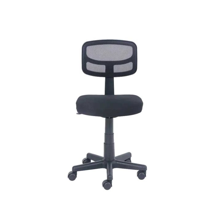 Mesh Task Chair with Plush Padded Seat